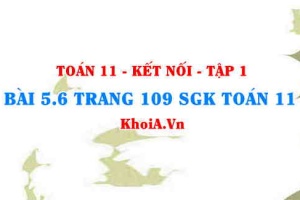 Bài 5.6 trang 109 SGK Toán 11 tập 1 Kết nối tri thức